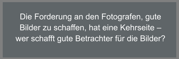Die Forderung an den Fotografen, gute Bilder zu schaffen, hat eine Kehrseite – wer schafft gute Betrachter für die Bilder?